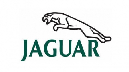 Jaguar radio code